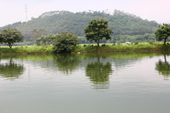 初夏鄉(xiāng)村農(nóng)家樂148.png